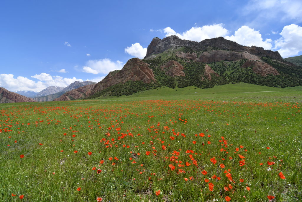 Kyrgyzstan